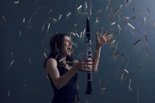 Shirley Brill / Professor, Nuremberg University of Music, Germany / Clarinet Online Public Lessons