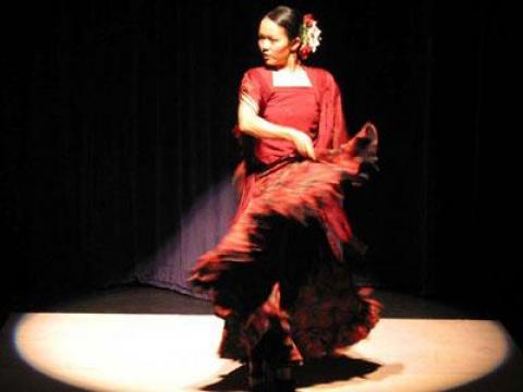 Spanish + flamenco course / Seville