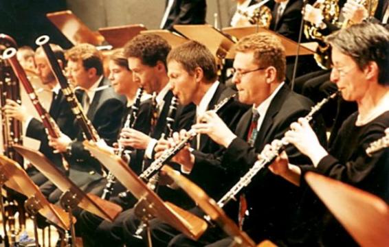 Oboe lesson (online) 1-time lesson