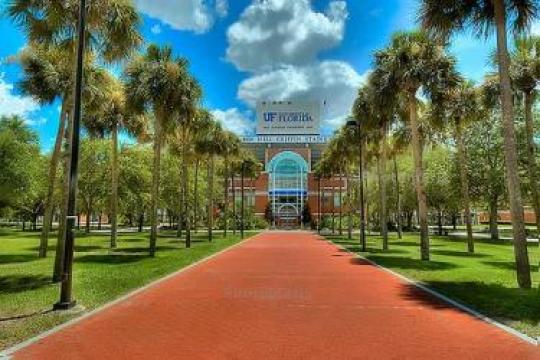 University of Florida School of Music