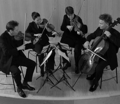 Anette Reisinger / Minge Quartet / Violin Lesson