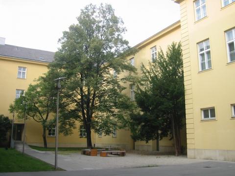 University of Music and Performing Arts Vienna Summer Vocal Opera Workshop