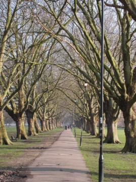 University of Cambridge Faculty of Music