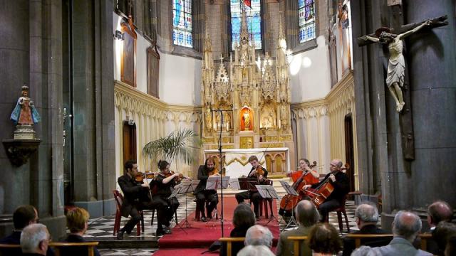 Daniel Rubinstein / Professor of the Royal Belgian Mons Conservatory / Violin & Viola Public Lesson (face-to-face)