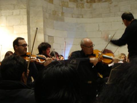 Massimo de Bonfis / Former Professor of the Rome Santa Cecilia Conservatory / Violin Lesson