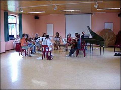 Wallonia Ancient Musical Instruments International Music Seminar